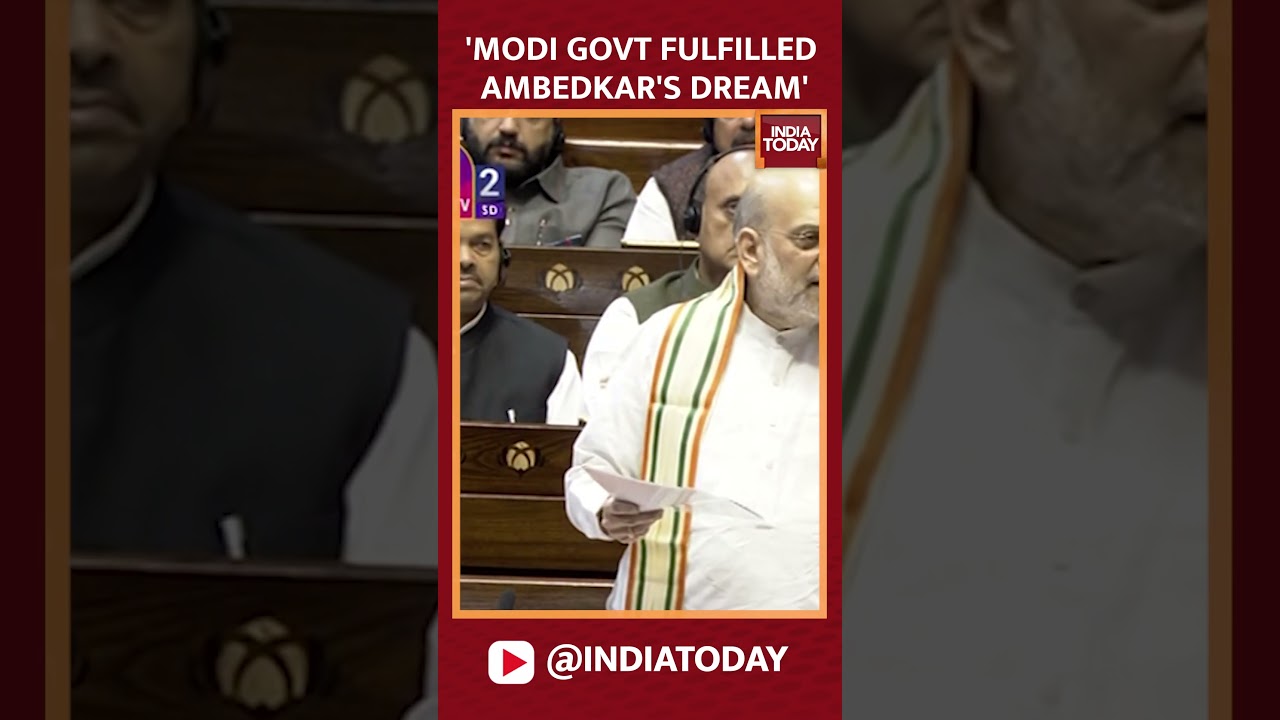 'Modi Govt Fulfilled Ambedkar's Vision Of One Nation, One Constitution After Abrogating Article 370'