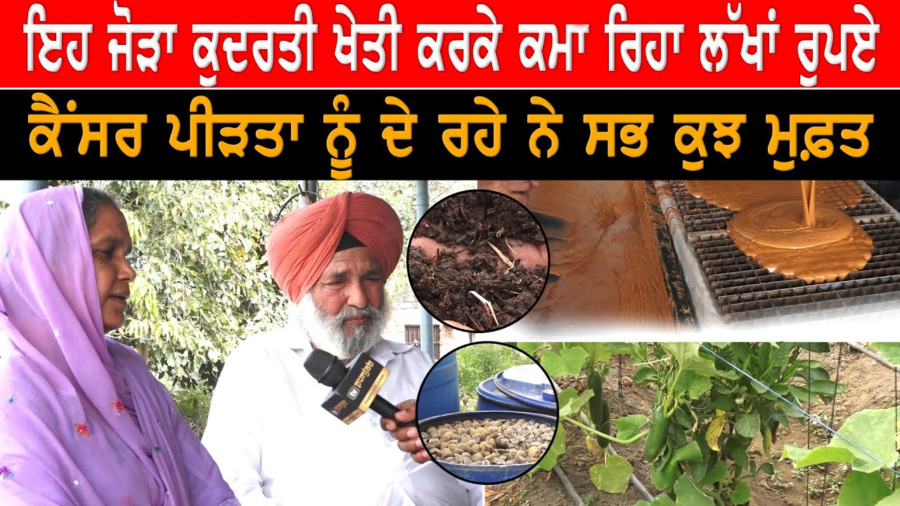 ਇਹ ਜੋੜਾ ਕੁਦਰਤੀ ਖੇਤੀ ਕਰਕੇ ਕਮਾ ਰਿਹਾ ਲੱਖਾਂ ਰੁਪਏ, Cancer ਪੀੜਤਾ ਨੂੰ ਦੇ ਰਹੇ ਨੇ ਸਭ ਕੁਝ ਮੁਫ਼ਤ