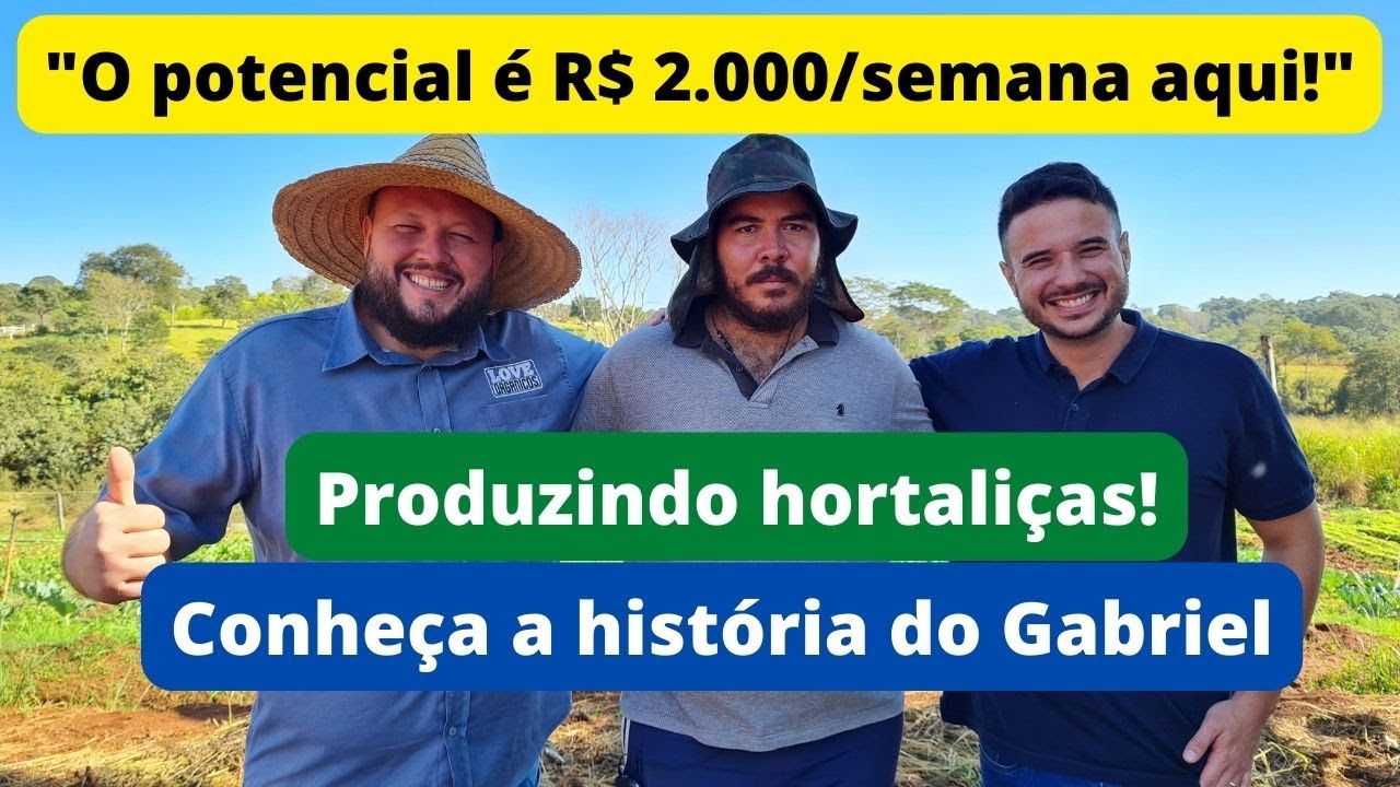 Como construir do zero uma produção de hortaliças, mesmo que não tenha conhecimento?