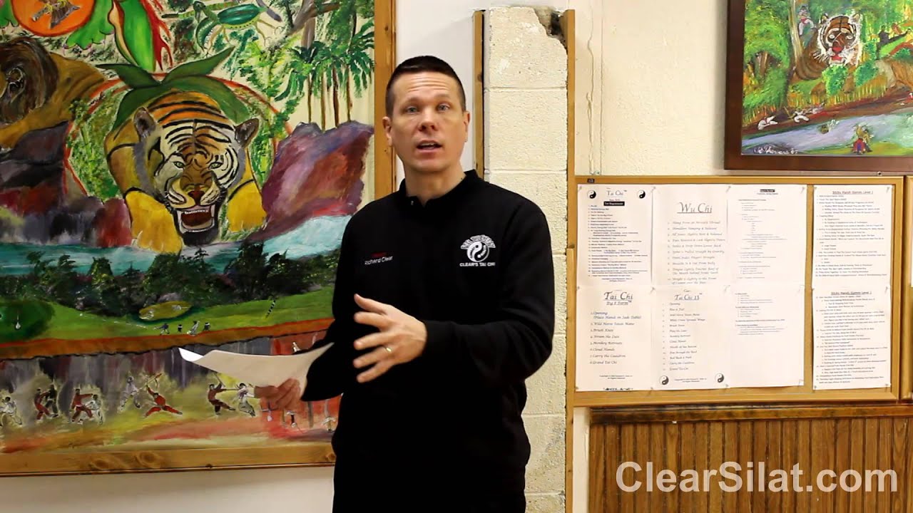 Is Tai Chi too Violent? Don’t you lose power at close range? Clear Answers Episode 2