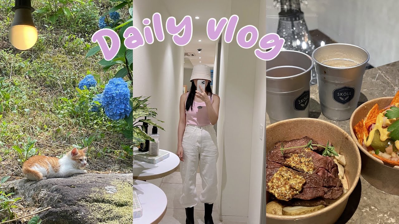 [VLOG]직장인 브이로그| 습한 여름 일상, 트러플 소금빵 맛있고 고양이도 너무 귀여워 |일상 브이로그
