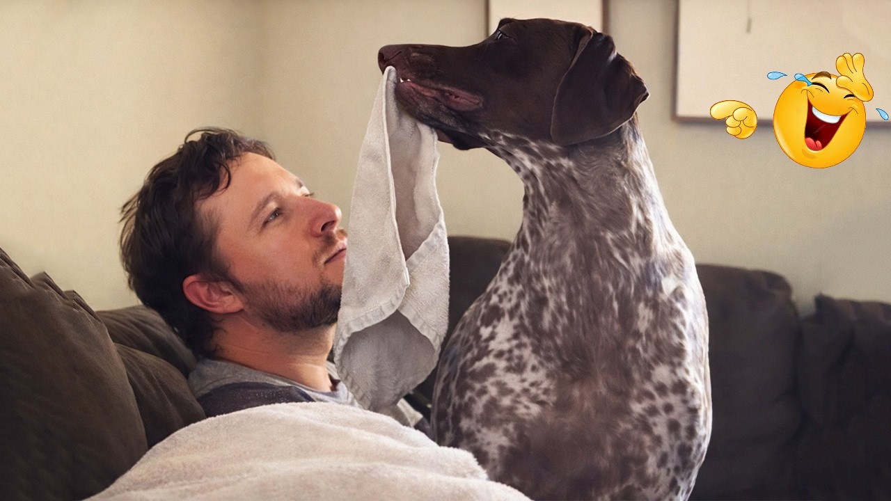 These Dogs Are Out of Control 🥴🐶 Funniest Dog Moments 2026 #72