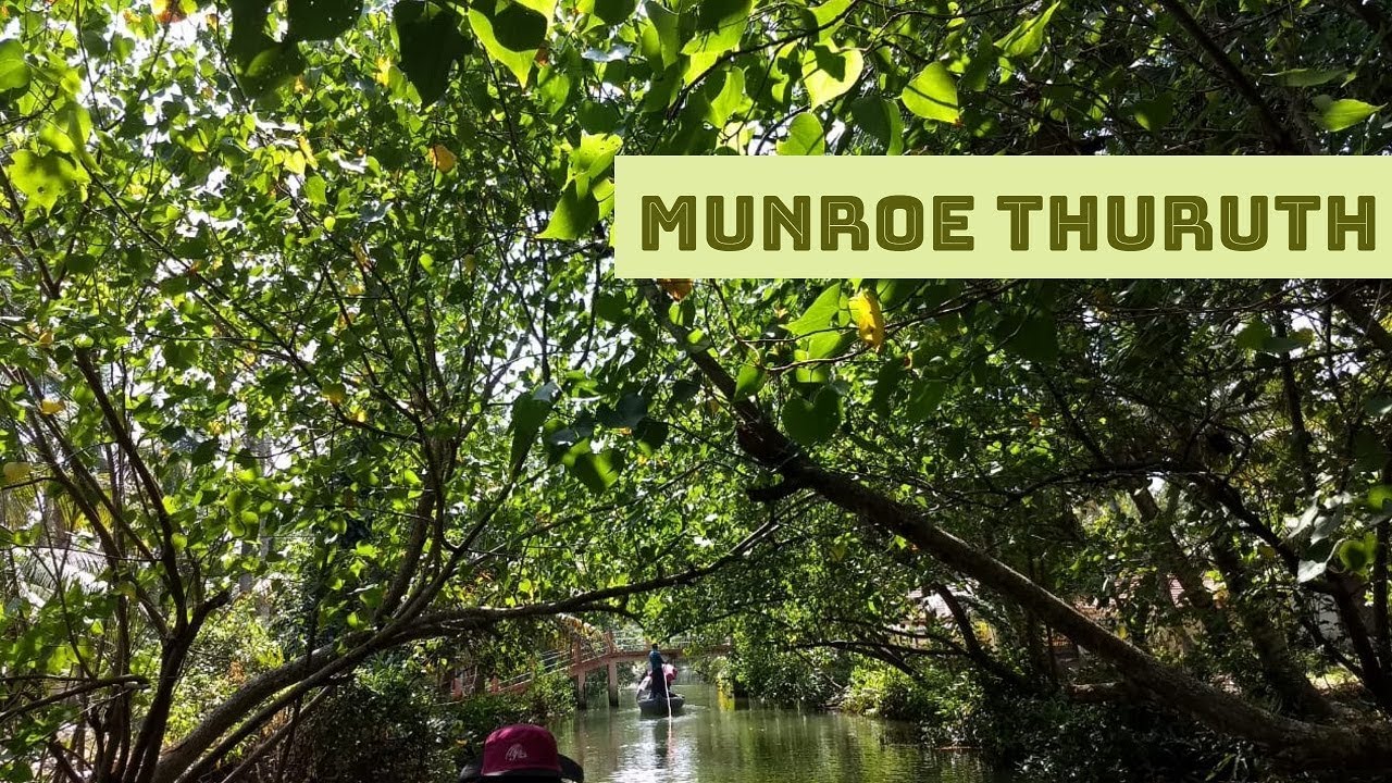 Where nature is in overdrive - Munreo Thuruth