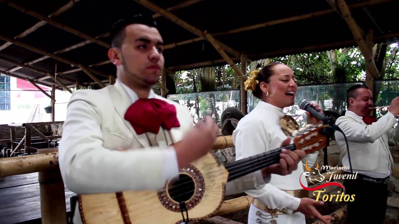 Clavelitos con Amor   mariachis bogota - Mariachi Juvenil Toritos