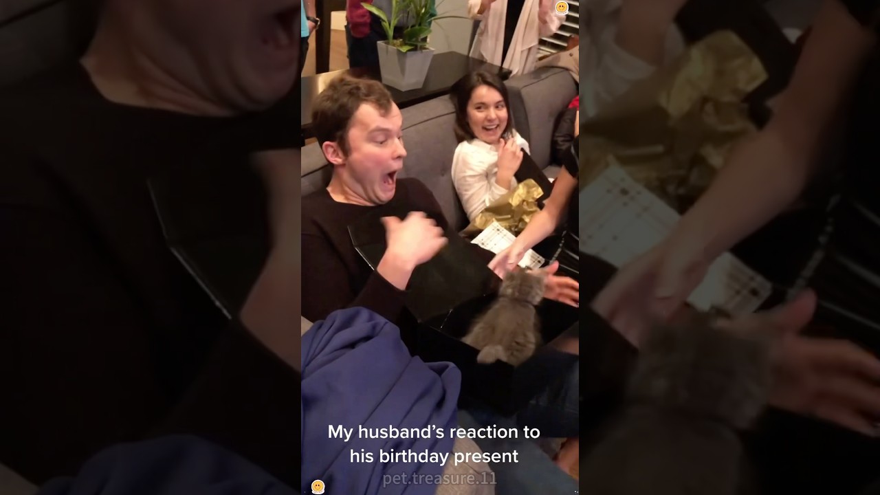 Have you even received a gift like this?#cat #kitty #catlove #surprise #birthday #love