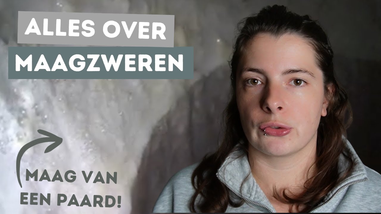 Heeft jouw paard maagzweren? - Paard Optimaal