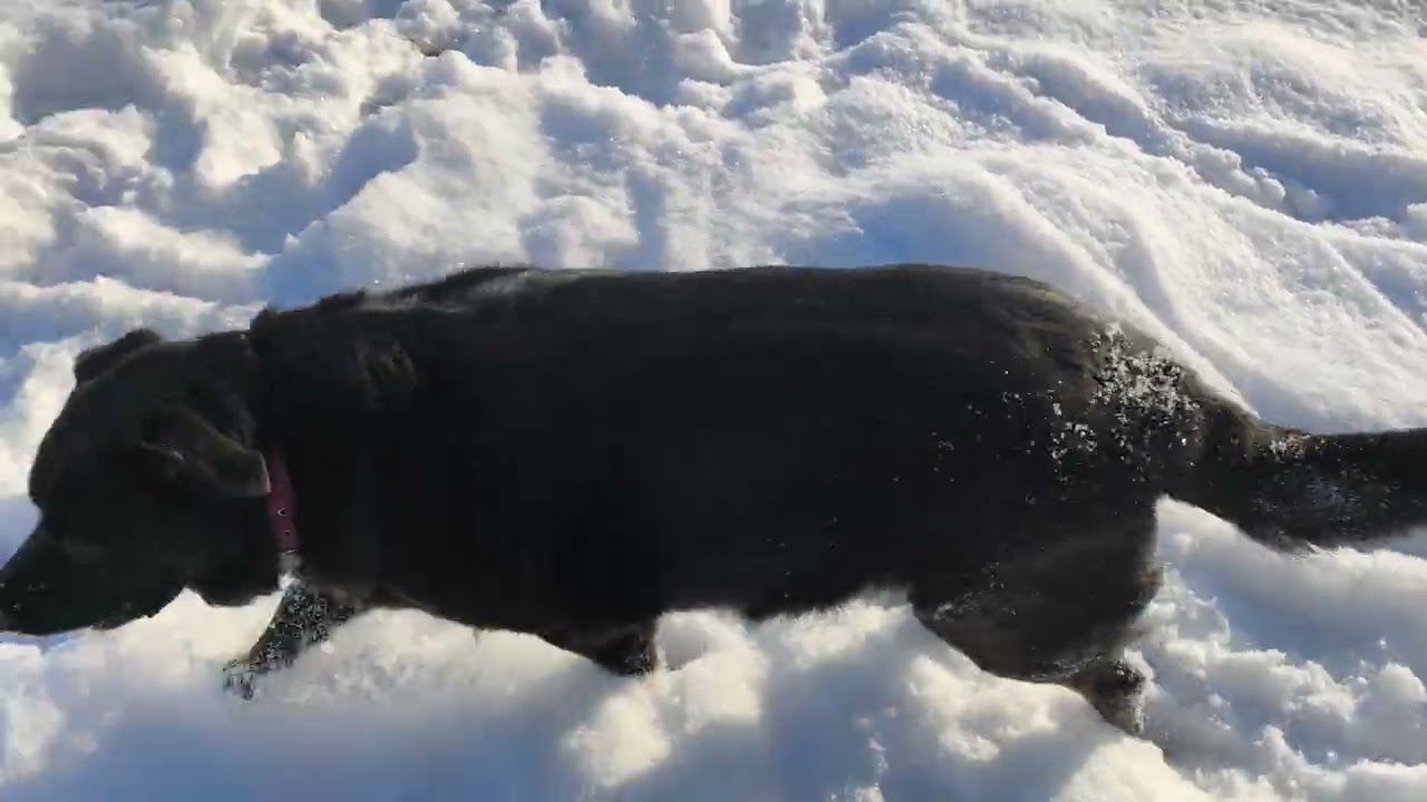 # Aza w swoim żywiole 13.01.2026