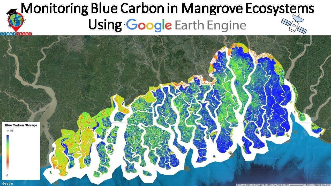 Monitoring Blue Carbon in Mangrove Ecosystems Using Remote Sensing in Google Earth Engine