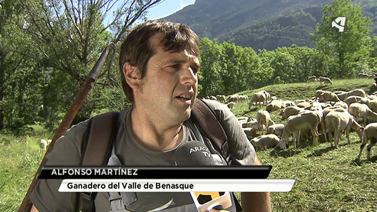 HARTOS DEL LOBO