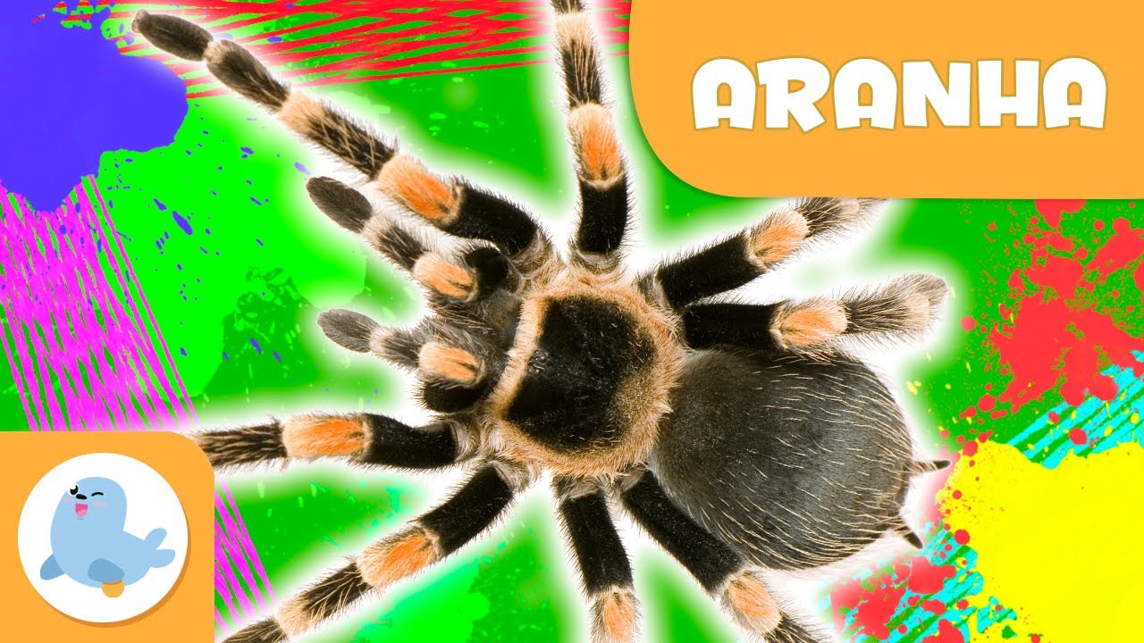 Aranha 🕷️Animais para crian&ccedil;as🌱 Epsi&oacute;dio 10