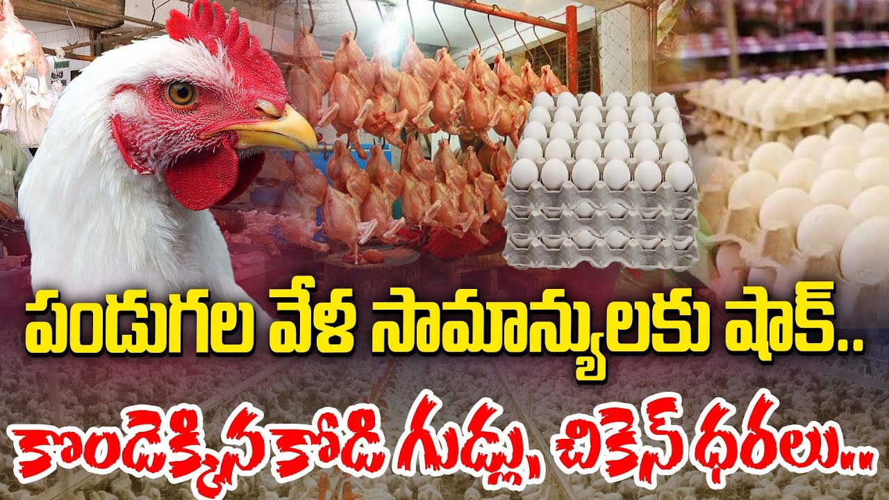 చుక్కలు చూపిస్తున్న కోడిగుడ్డు ధర..! | Egg Price Increased | Price Hike | Chicken Prices | TVA9 News