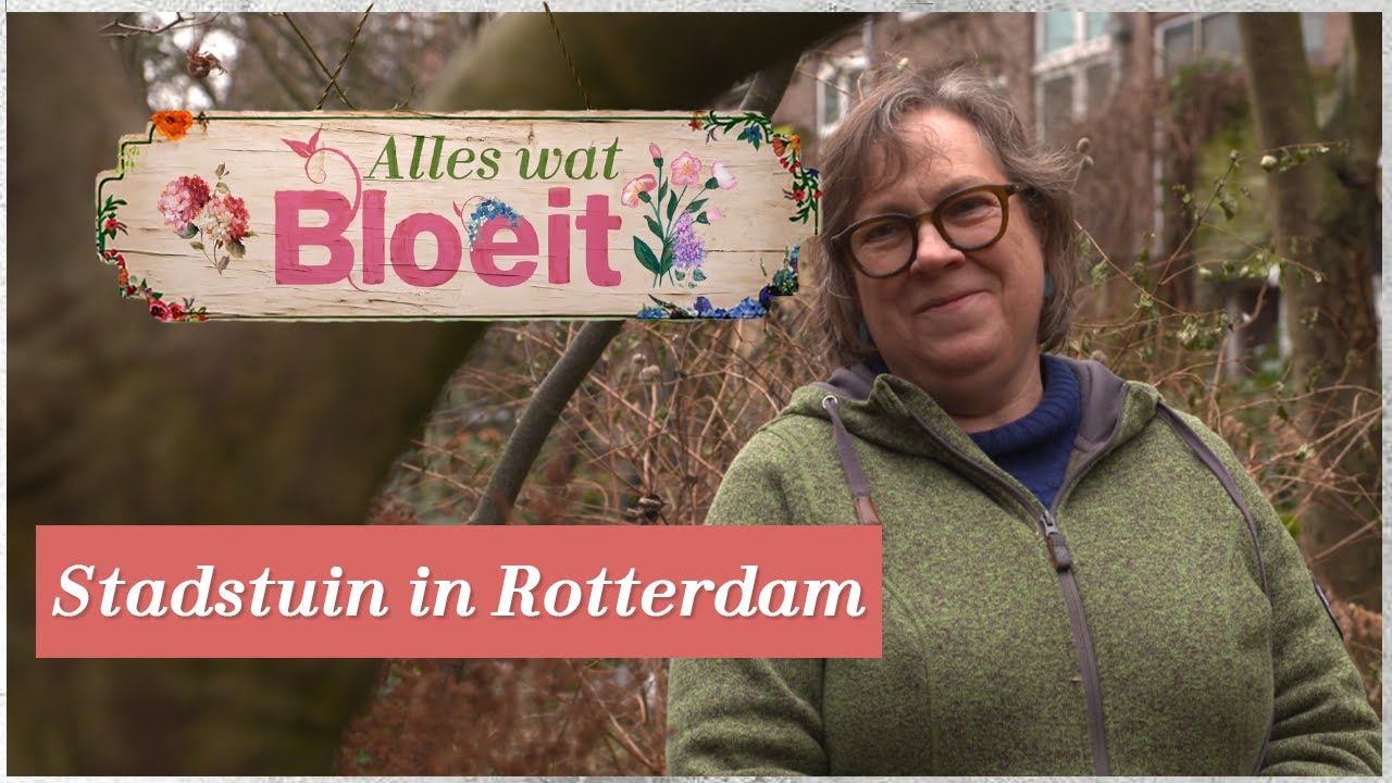 Stadstuin Rotterdam | Alles Wat Bloeit