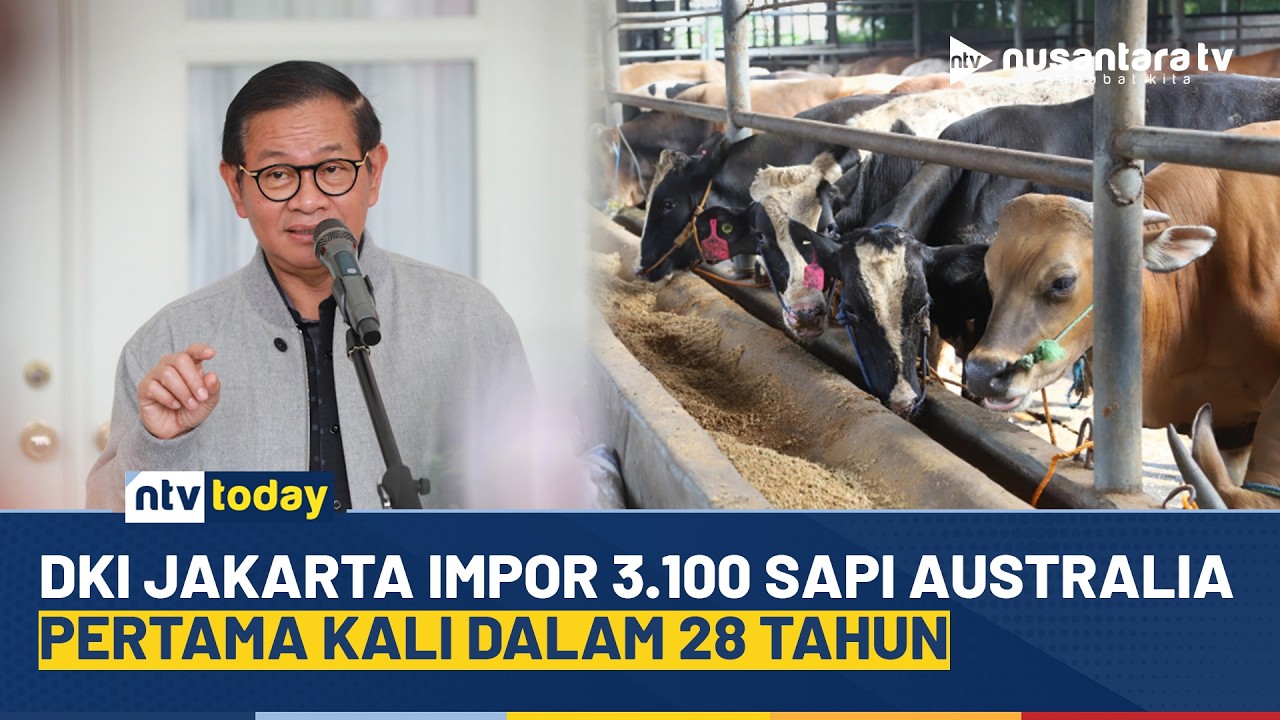 Ramadan & Idul Fitri Aman, Jakarta Tambah Pasokan Daging dengan Impor Sapi | NTV TODAY