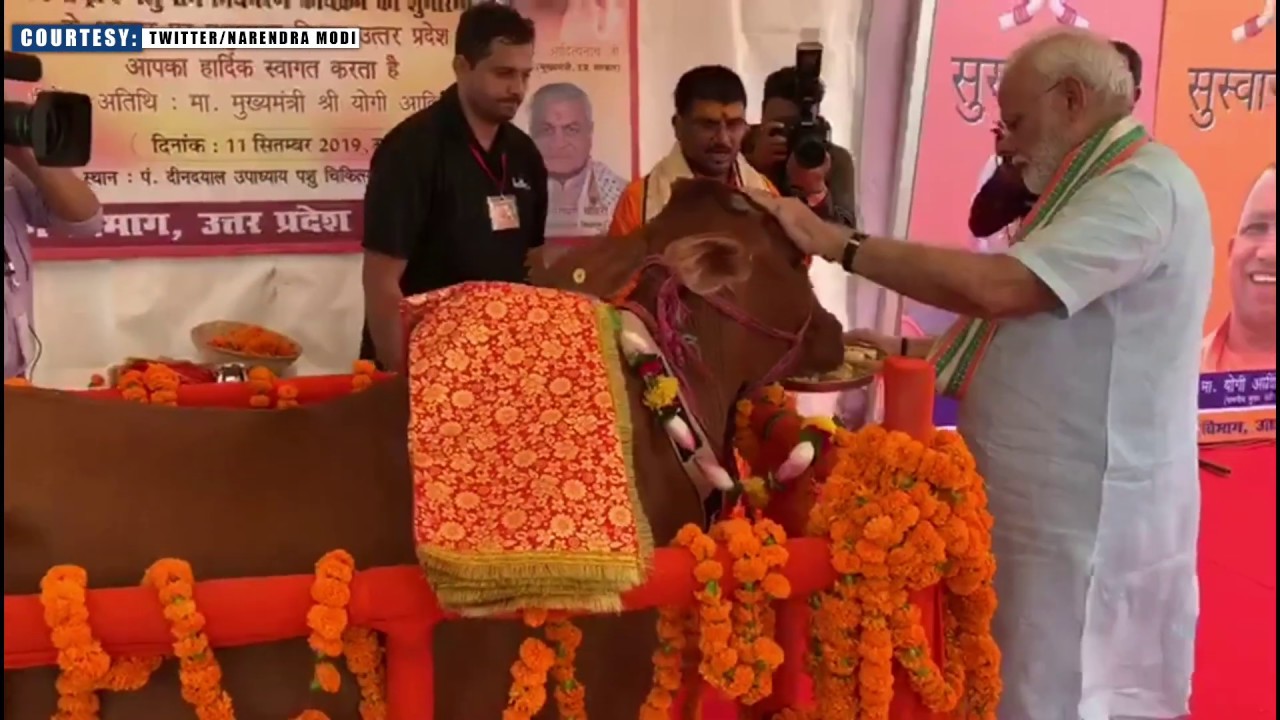PM Modi launches Animal Welfare Scheme and segregated plastic waste projects in Mathura, UP