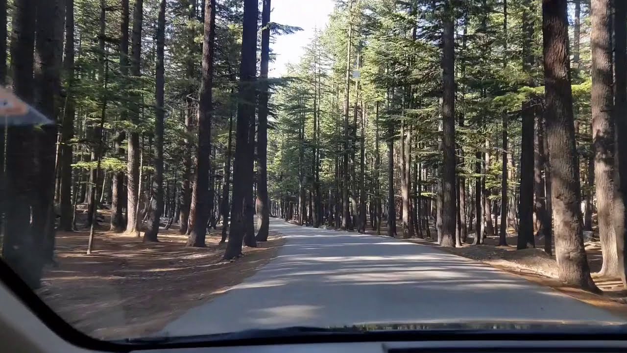 Ushu Forest Kalam -  Beautiful Pakistan