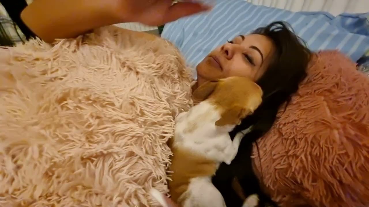 a nehéz reggeli rutin#vlog vlog