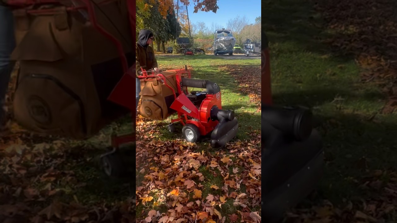 DR Chipper and leaf vacuum PRO SP SUCKIN&rsquo;N up leaves 🍂🍃🍁 #lawncare #golfcoursemaintenance