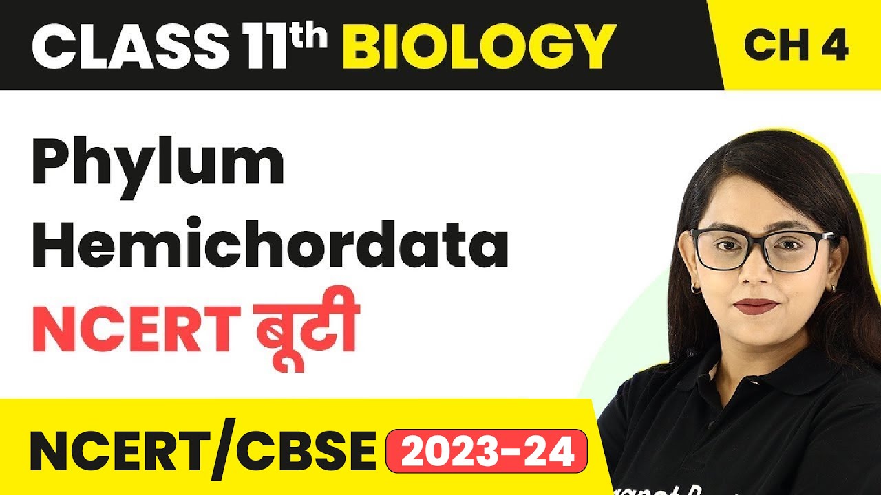 Phylum Hemichordata - NCERT बूटी - Animal Kingdom | Class 11 Biology Chapter 4 | NCERT/CBSE