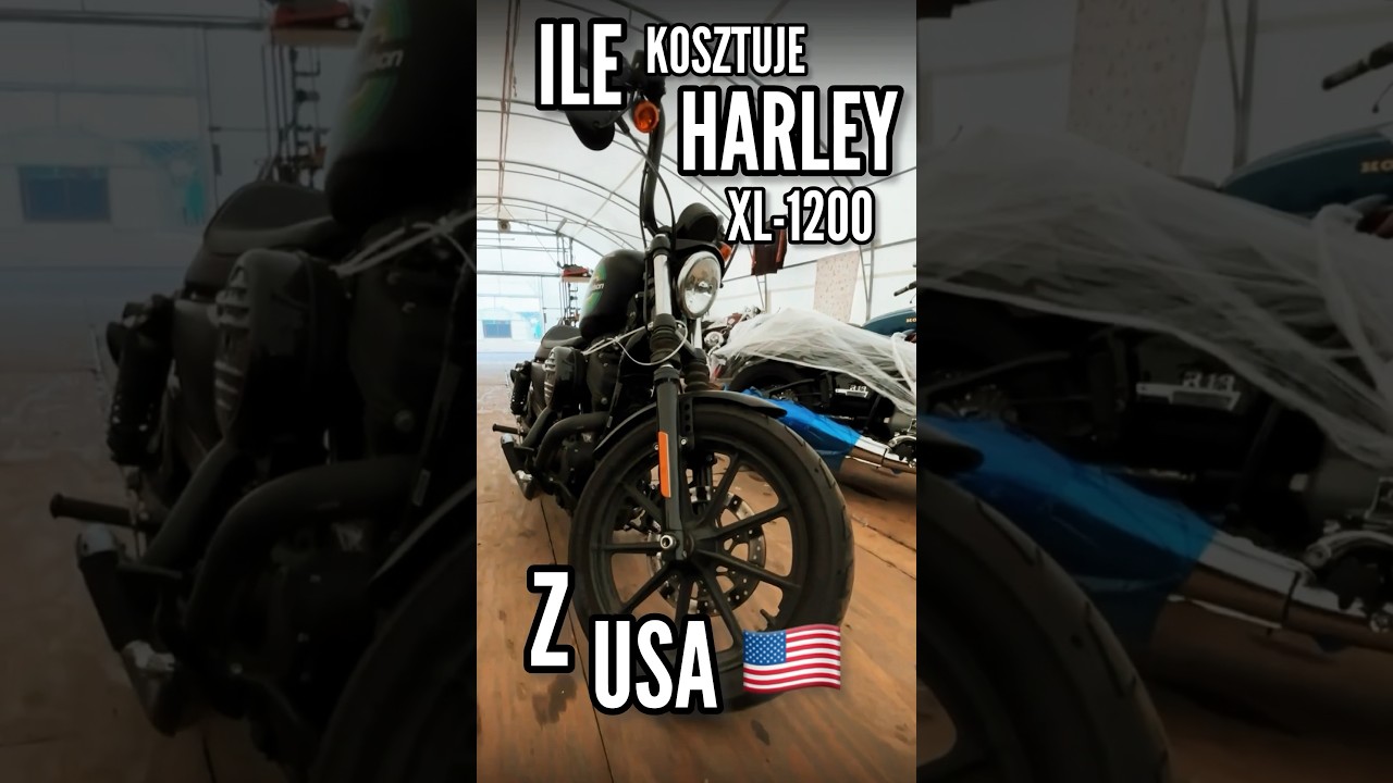 Ile kosztuje Harley-Davidson XL1200 ze Stan&oacute;w Zjednoczonych? AtlanticMOTO - Auta i Motocykle z USA