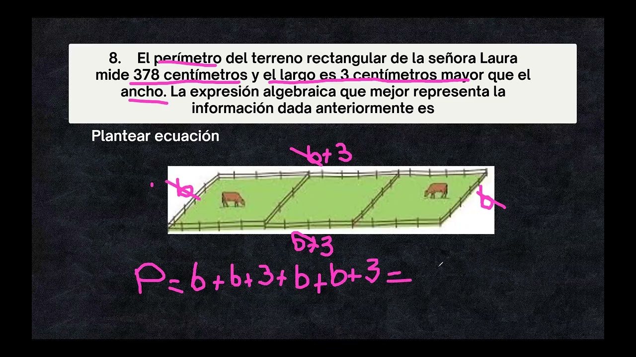 Plantear ecuación, perímetro, lados