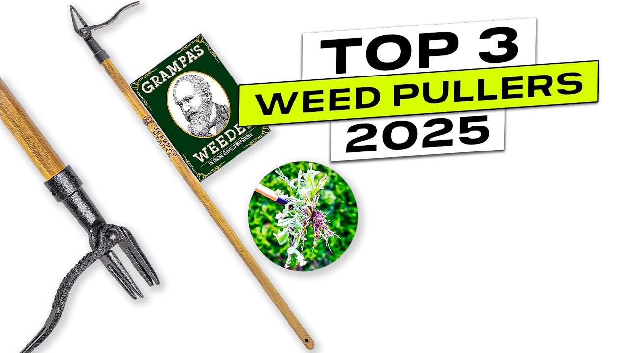 Top 3 BEST Weed Puller 2025
