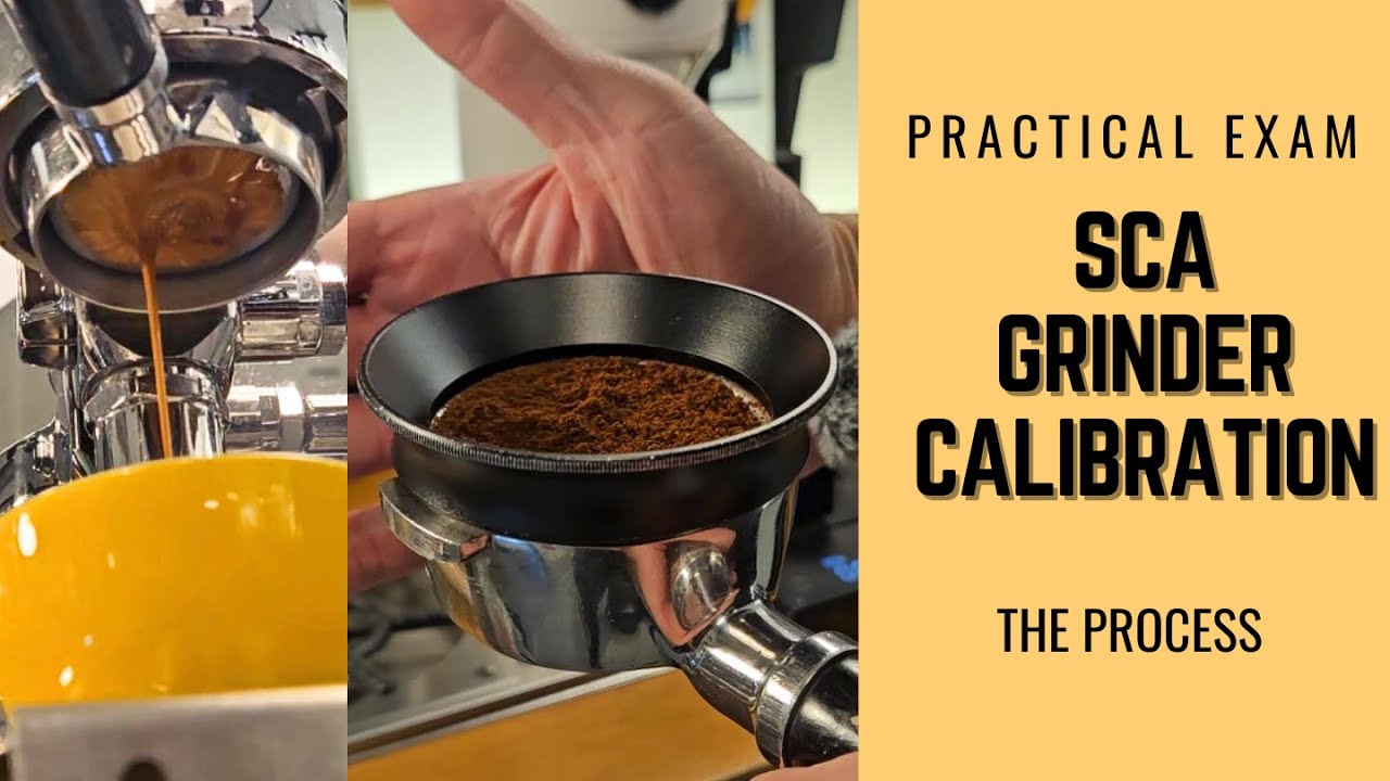 SCA Grinder Calibration exam by Barista Experience Academy #coffee #barista