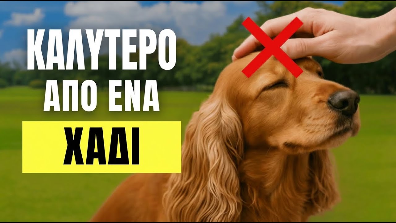 10 ΠΡΑΓΜΑΤΑ ΠΟΥ Ο ΣΚΥΛΟΣ ΣΟΥ ΑΓΑΠΑ ΑΚΟΜΑ ΠΕΡΙΣΣΟΤΕΡΟ ΑΠΟ ΤΑ ΧΑΔΙΑ ΣΟΥ