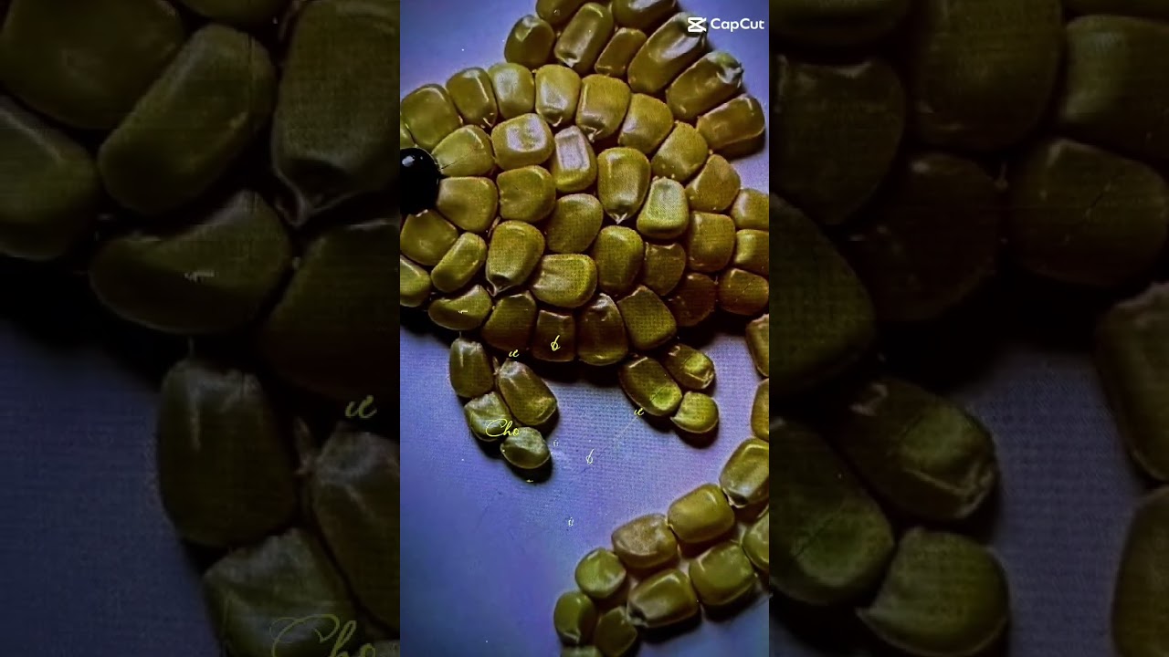 45t tự chọn 28/2/26
