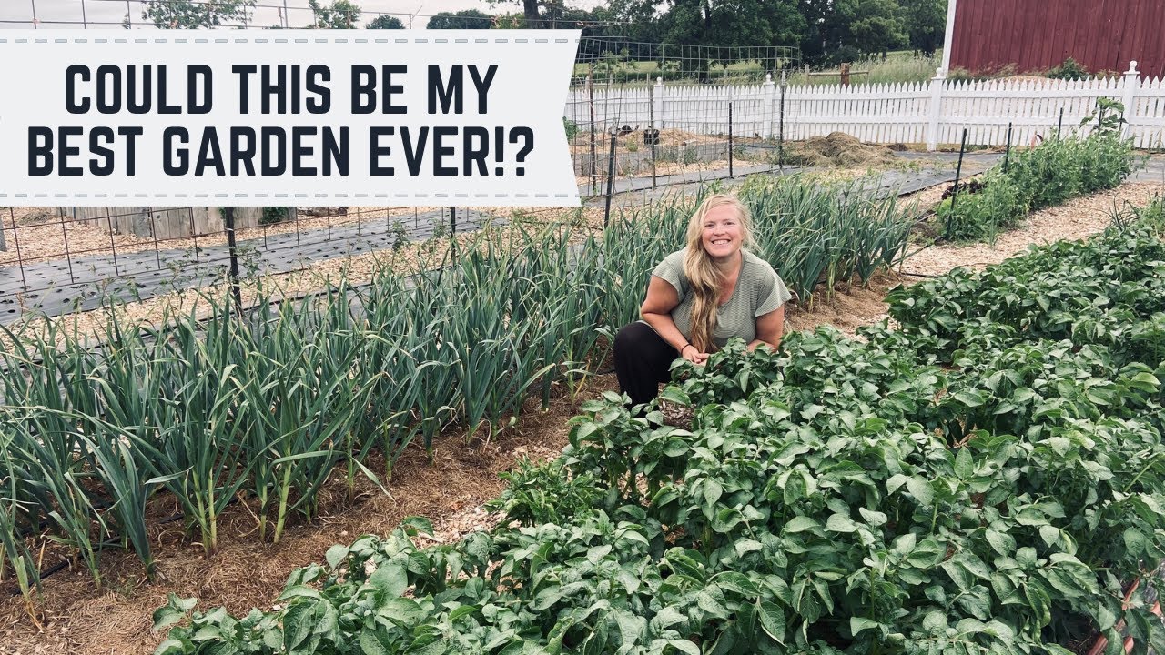 JUNE GARDEN TOUR! Michigan homestead, Zone 5, Big family garden