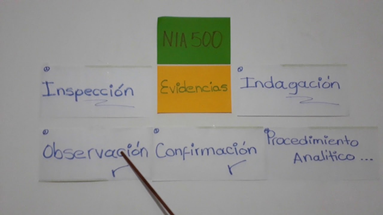 NIA 500 Recomendaciones
