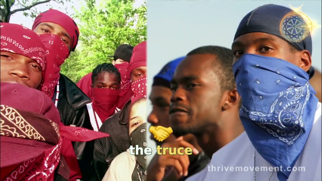 #22-Gang Truce: How Peace Was Made & Violence Dropped #shorts