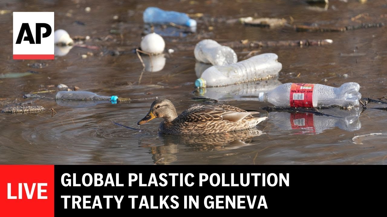 LIVE: Global plastic pollution treaty talks in Geneva