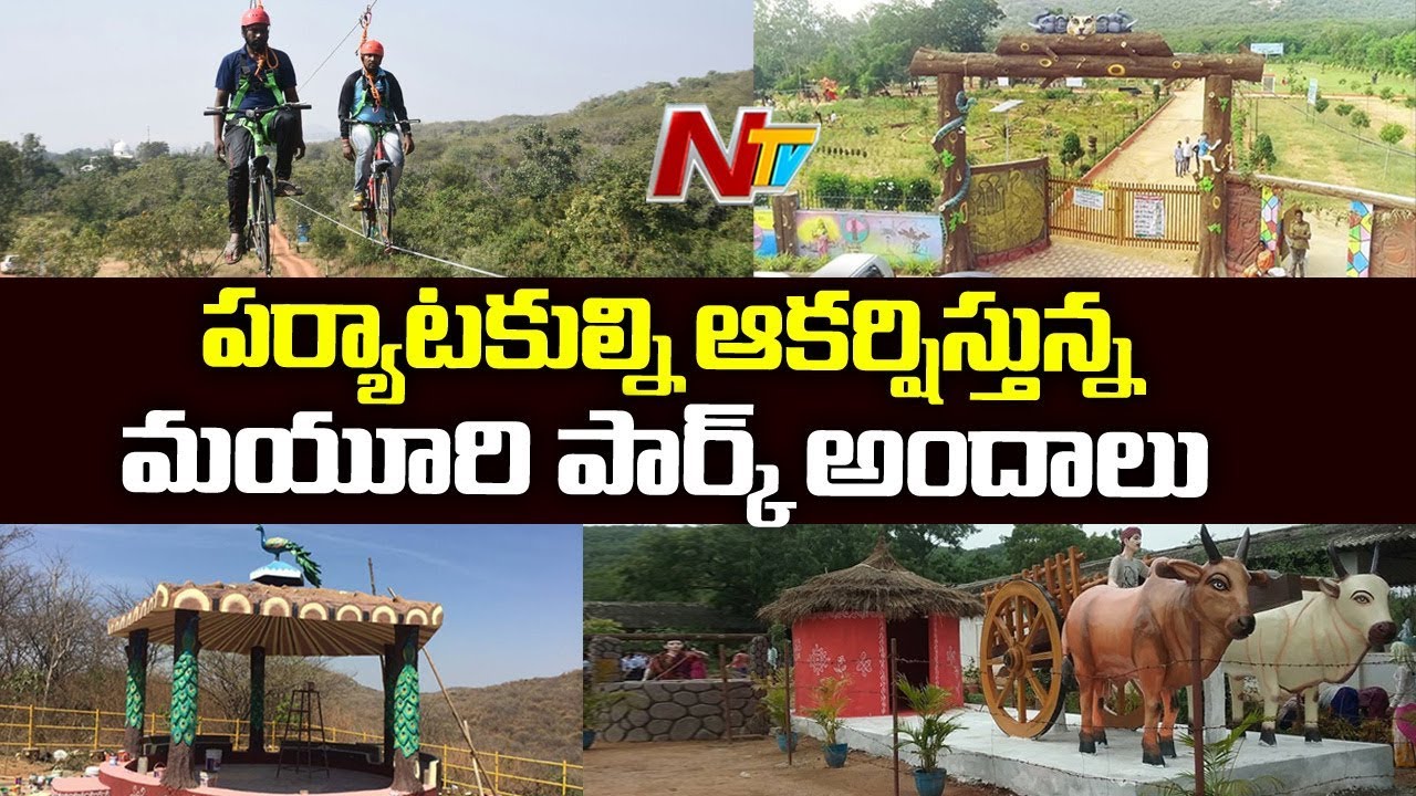Mahabubnagar Mayuri Park Turns as Tourist Spot | Special Story | NTV