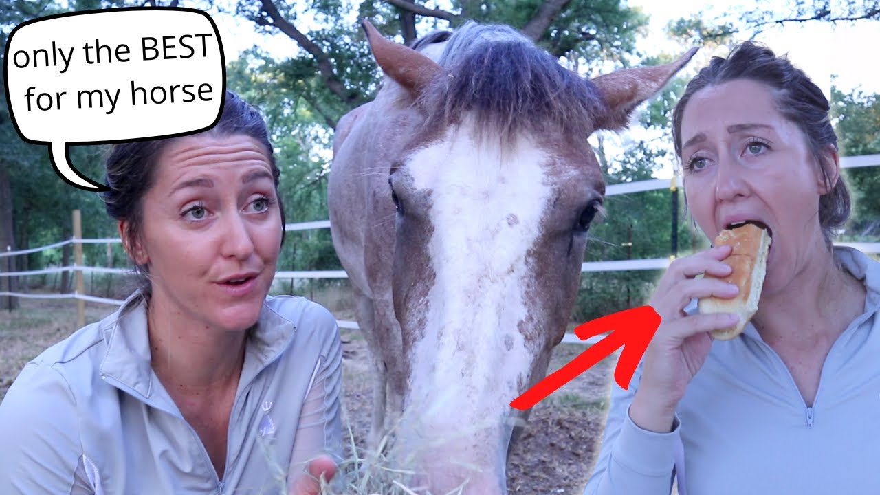 Equestrians diet vs. their horses' 🤣 | funny horse videos