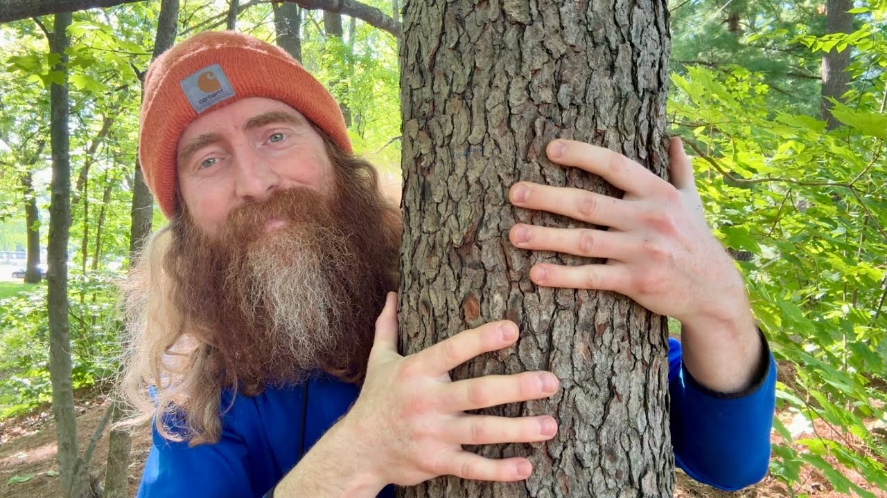 ASMR 🌳 Outdoors ft. @whispersoft 🌳 (Lofi)