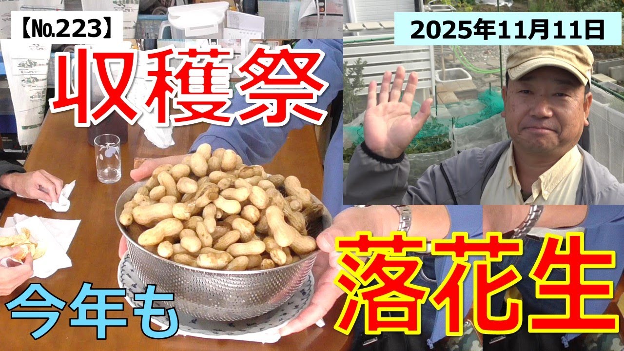 【№223】収穫祭