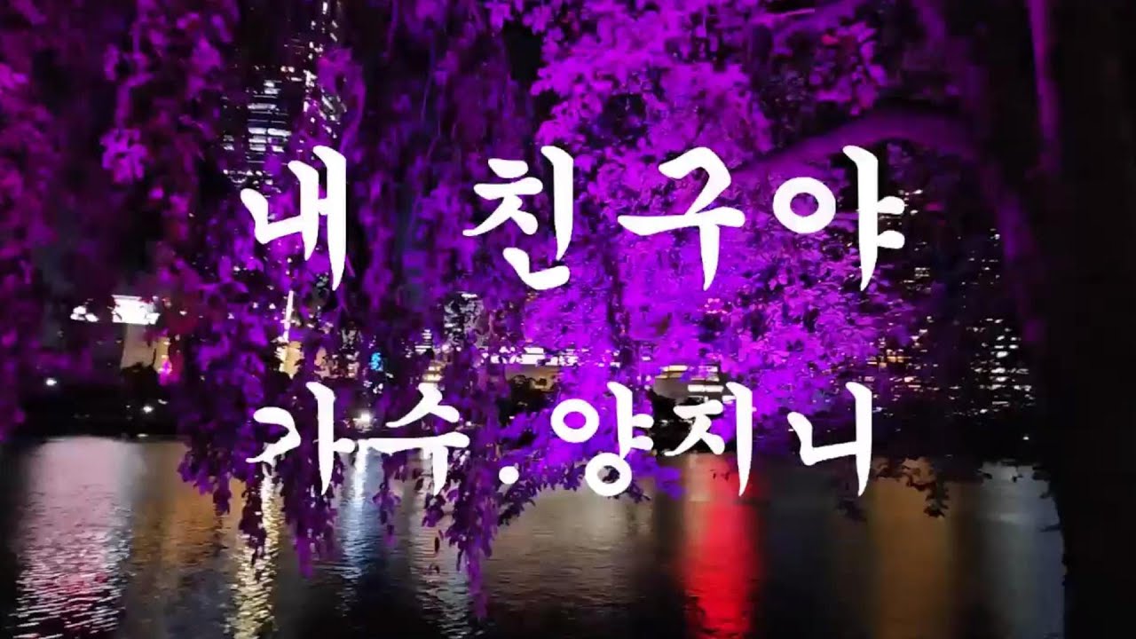 Ver 2025 #내친구야 #양지니 #가수양지니 #양지니TV채널 #K_pop43 #Korean #Singer #Yang_Ji_Ni #타이틀곡 #내친구야  (가사삽입)