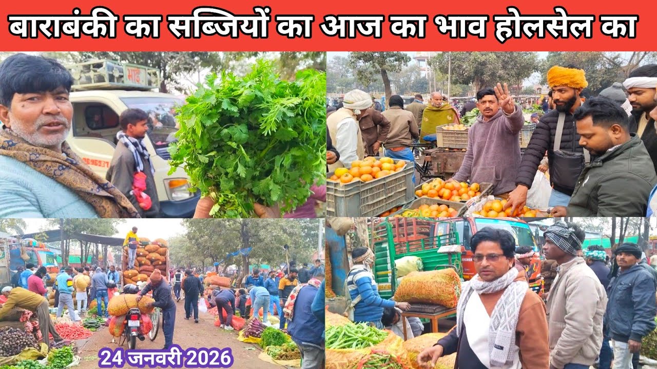 बाराबंकी का सब्जियों का आज का भाव होलसेल का 24 जनवरी 2026🍅 sabjiyon ka bhav 🫛 vegetable price today 