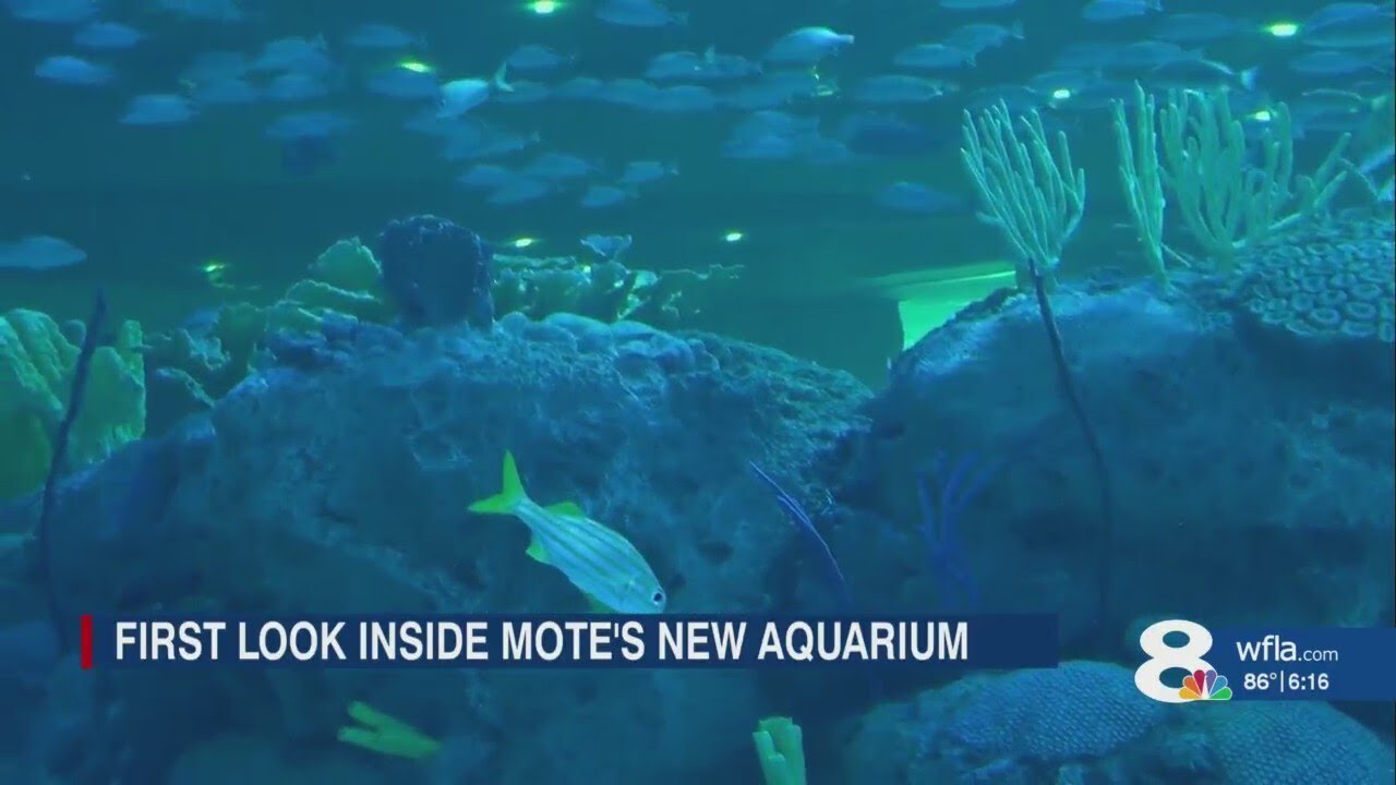 New Mote Marine Science Aquarium ready to welcome guests