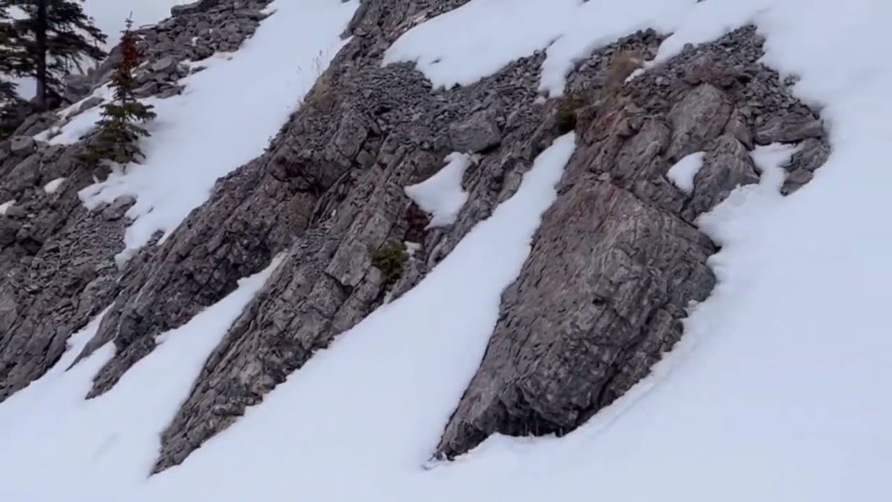 Indian in Banff, Alberta first time experience 