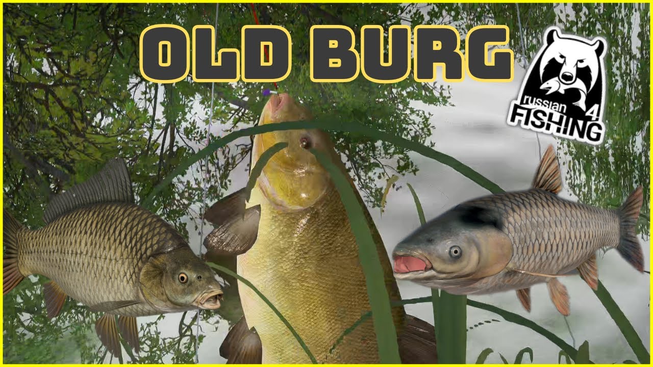 Old Burg Lake Tench & Carp spot Lin | Russian Fishing 4 RF4 | #444