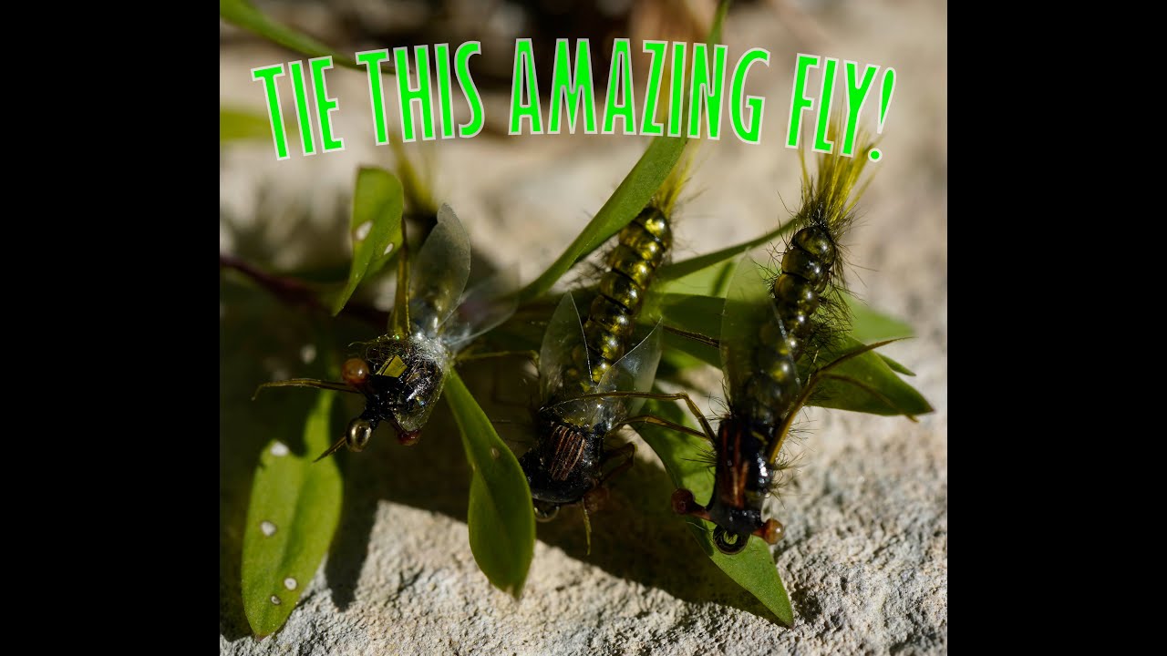 An AMAZING Fly Tying Video!