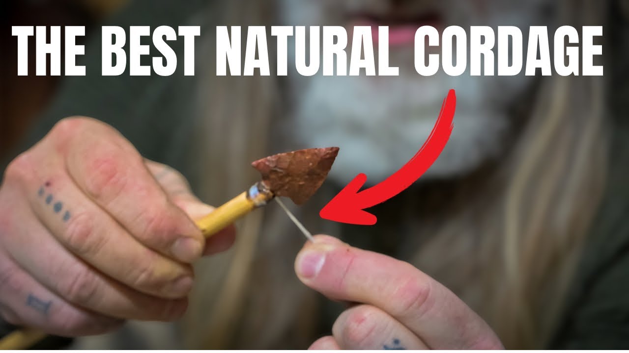 NATURE Always Provides | ELK Leg Tendon Sinew #survival #outdoorskills #survivalskills #bushcraft