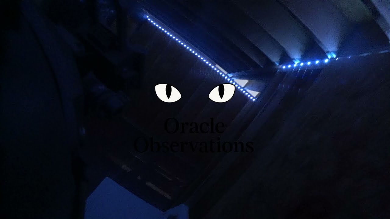 12 years - VAULT LEGACY AIRSOFT