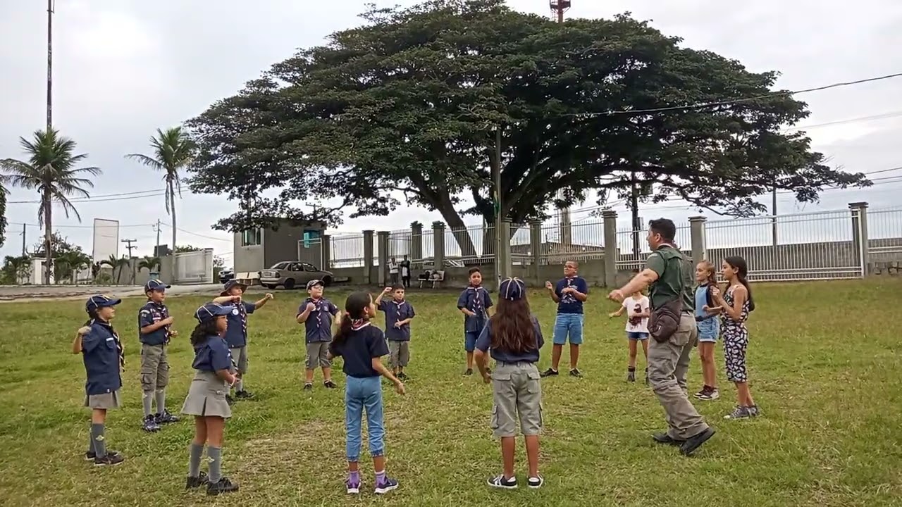 Canção "O meu chefe chegou"