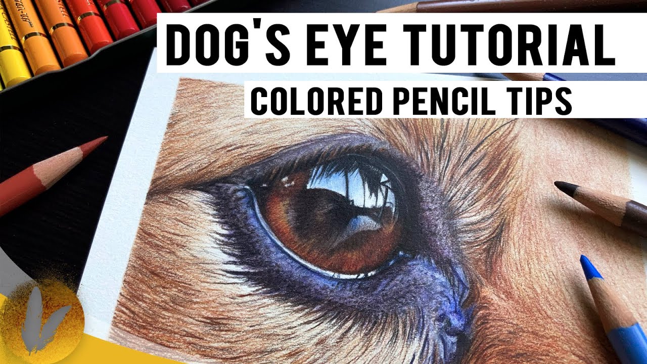 How To Draw A Dog's Eye Tutorial - Colored Pencil Tips