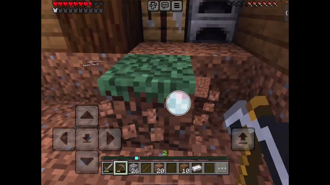 Episode 2: Finishing My House
