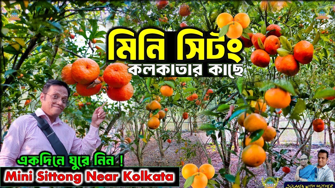 সিটং-এর স্বাদ এবার আশোকনগরে  কলকাতার কাছে 🌿🍊 | Mini Sittong Near Kolkata | Weekend tour from Kolkata