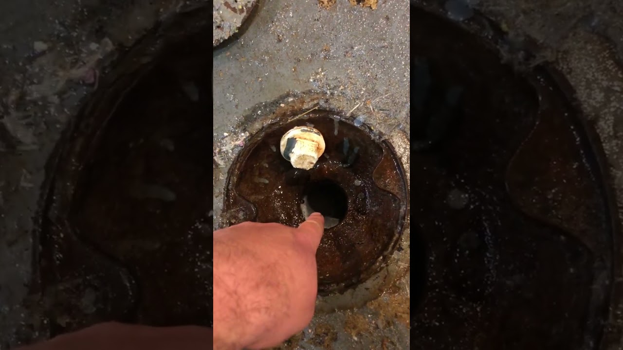 How to unclog a basement floor drain