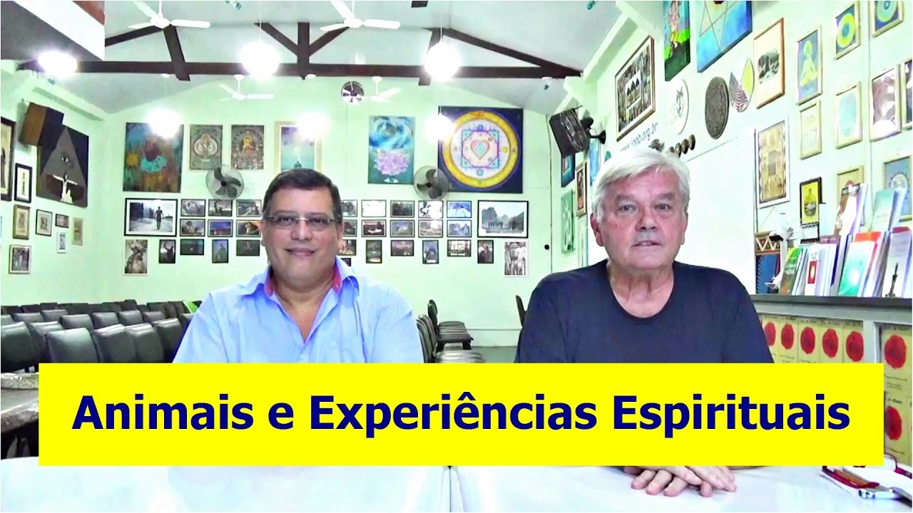 Animais e Experiências Espirituais | # 1 Stum Pet